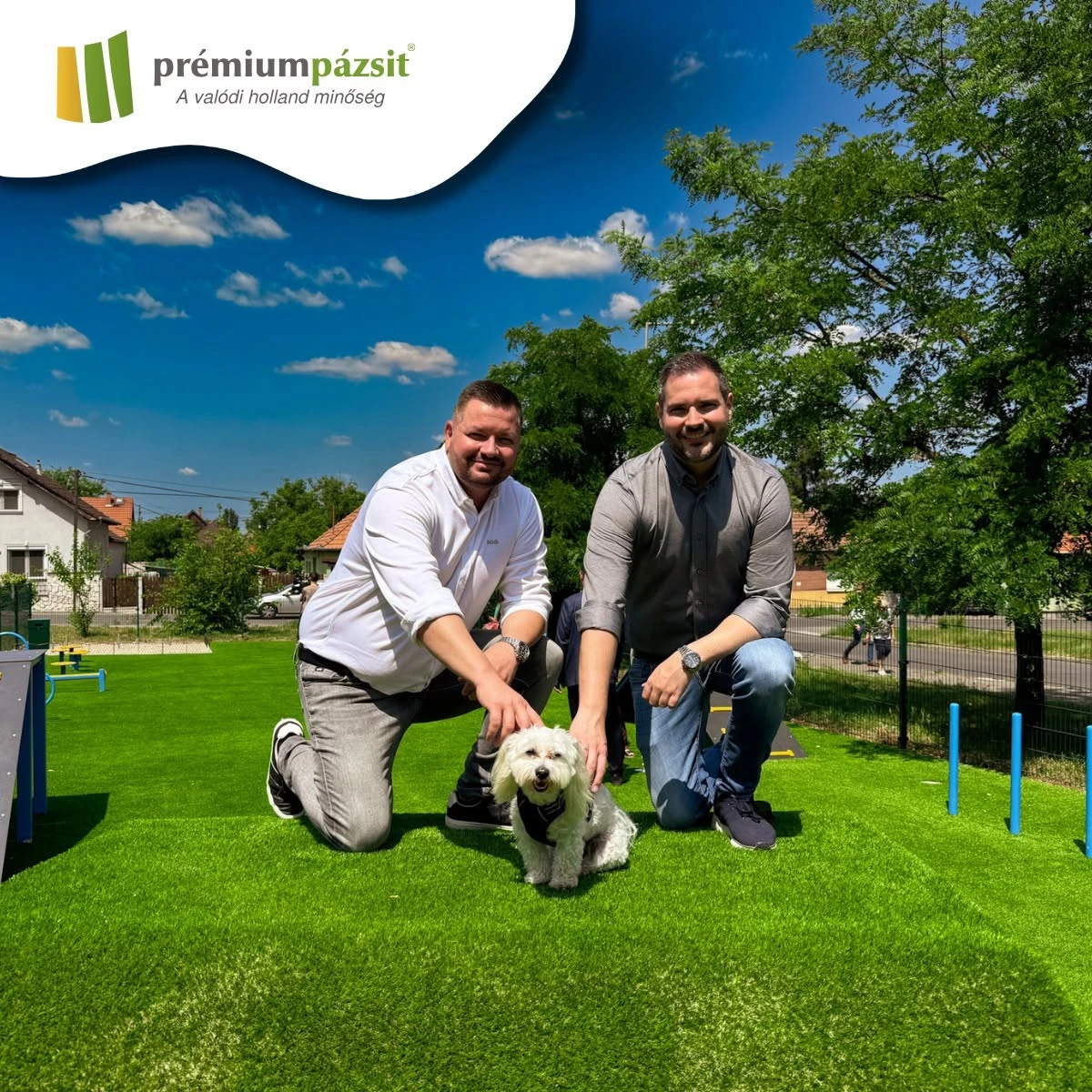 Kutyafuttató és agility park műfűvel – a gazdik és kutyák kedvence