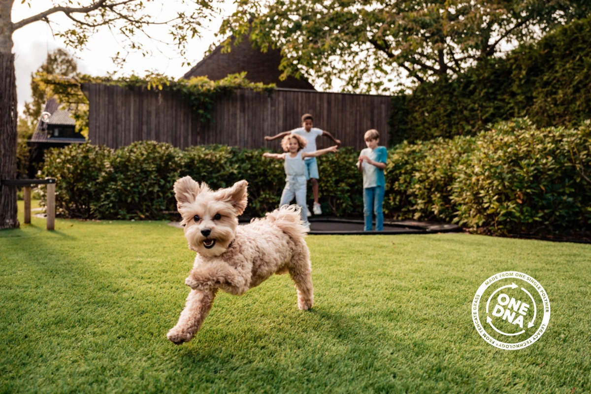 PFAS-Mentes Tanúsítvány (EU 2013/1272)