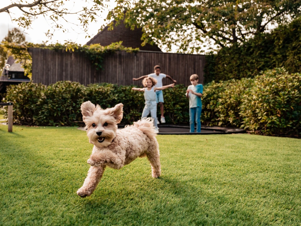 ONE-DNA Elan 35 - marketing