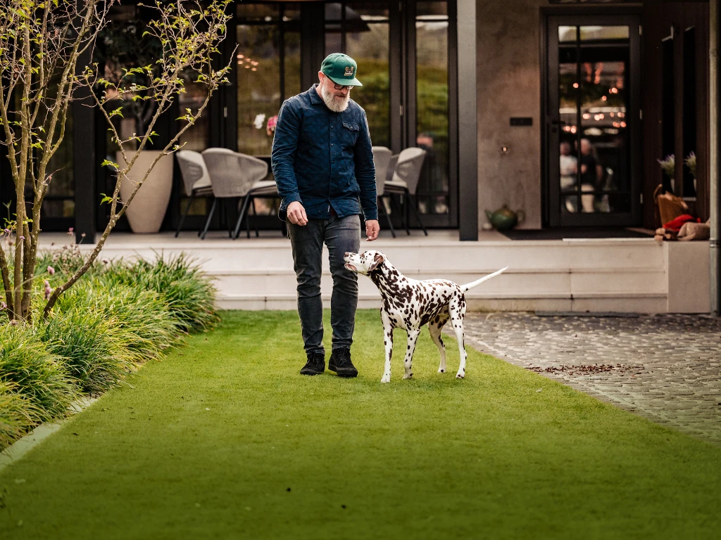 ONE-DNA Elan 35 - marketing